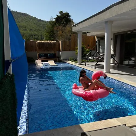 Flamingo Kas