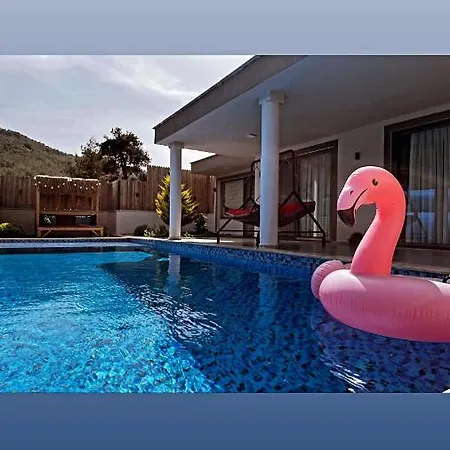 Flamingo Kas
