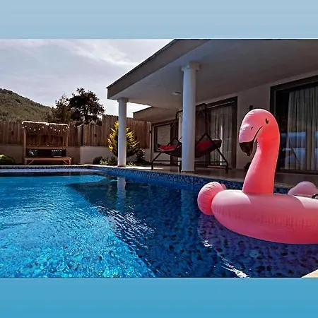 Villa Flamingo