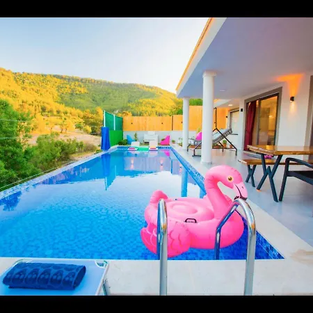 Villa Flamingo